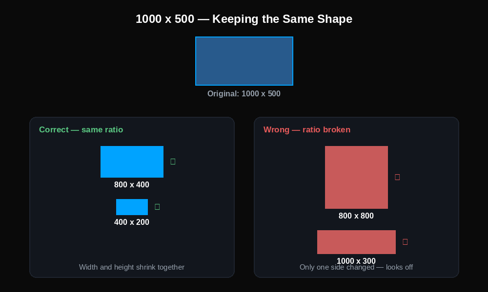 Diagram showing correct 2:1 aspect ratio resizing versus incorrect stretched or squished dimensions